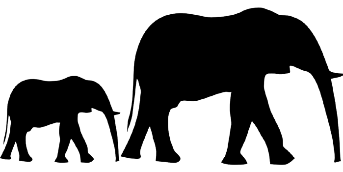 Opinie: Het geheugen van de olifant - Parbode Sneak Peek